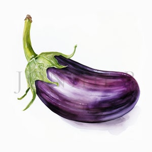 Aquarelle Aubergine Clipart | 10 fichiers JPG de haute qualité | Téléchargement numérique | Clipart végétarien | Clipart de légumes | Clipart Alimentation saine | Aubergine