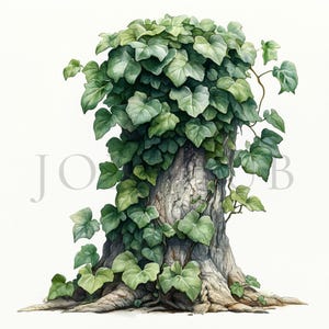 Hiedra sobre el tronco de un árbol / 10 archivos JPG de alta calidad / Descarga digital instantánea / Creación de tarjetas / Diario / Manualidades digitales con papel / Arte botánico