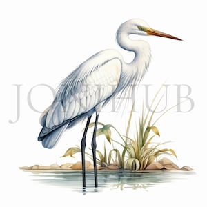 Egret Clipart | 10 High Quality JPG&#39;s | Digital Download | Elegant Bird | Bird Illustrations | Watercolor Painting | Watercolor Bird Art