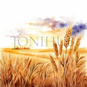 Campi di grano Clipart / 10 JPG di alta qualità / Download digitale / Scena della natura / Grano acquerello / Artigianato di carta digitale / Immagini di album