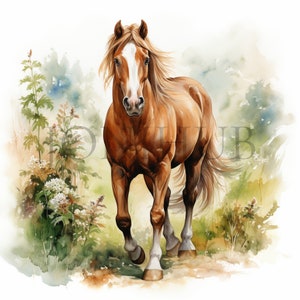 Clipart cheval brun | 10 fichiers JPG de haute qualité | Téléchargement numérique | Clipart animaux | Illustrations de chevaux | Graphiques équins | Oeuvre d'art imprimable