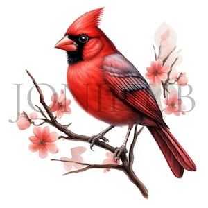 Red Cardinal Clipart | 10 High Quality JPG&#39;s | Digital Download | Cardinal Illustration | Bird Graphics | Card Making | bird vector graphics