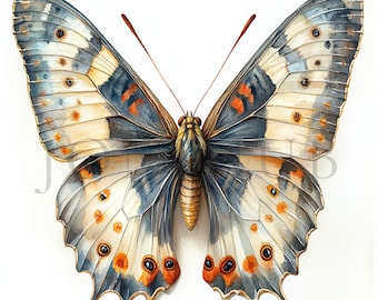 Realistic Butterflies Clipart | 10 High Quality JPG | Instant Digital Download | Paper Craft | Junk Journal | Butterfly | Watercolor Clipart