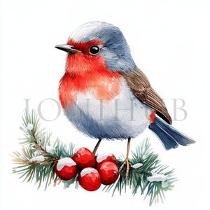 Vários clipart de pássaros de Natal | 10 JPGs de alta qualidade | Download digital | Robin | Clipart de aquarela para impressão | Artesanato em papel, Junk Journal