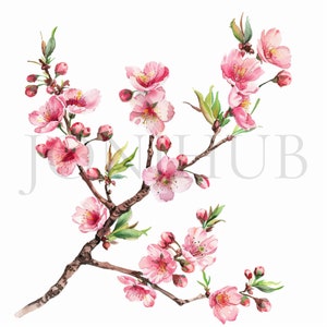 Blooming Sakura Branch Clipart | 10 High Quality JPGs | Digital download | Floral Art | Scrapbook | Printable | Cherry Blossom Illustrations