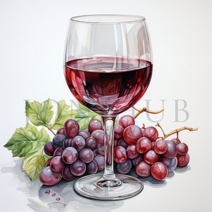 Glass of Wine Clipart | 10 High Quality JPG&#39;s | Digital Download | Grape Clipart | Wine Glass Drawing | Wine Glass | Drink Clipart | Clipart