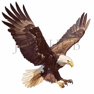 Clipart aquila reale / 10 JPG di alta qualità / Download digitale / Design stampabile / Pacchetto clipart / Arte di uccelli ad acquerello / Grafica della fauna selvatica