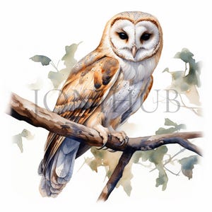 Clipart kerkuil | 10 JPG's van hoge kwaliteit | Digitale download | Afdrukbaar kunstwerk | Gemengde techniek | Uilillustraties | Nachtelijke vogelkunst