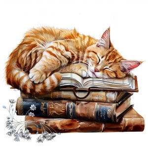 Gato dormindo em livros clipart | 10 JPGs de alta qualidade | Download digital | Álbum de recortes | Fabricação de cartões | Clipart de gato fofo, artesanato de papel digital