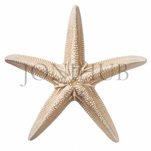 Starfish Clipart | 10 High Quality JPG&#39;s | Digital Download | Beach Art | Starfish Illustrations | Watercolor Painting | Printable Artwork