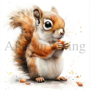 Squirrel Clipart | 10 High Quality JPGs | Digital download | Animals Clipart | Woodland Animals | Squirrel Images | Cute Squirrel | Squirrel