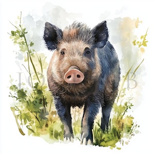 Wild Boar in Forest Clipart | 10 High Quality JPGs | Digital Download | Printable Watercolor Clipart | Digital Paper Craft | Junk Journals