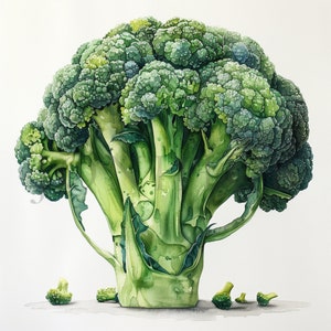 Clipart brocoli | 10 fichiers JPG de haute qualité | téléchargement numérique | Clipart Alimentation saine | Clipart nourriture | Clipart végétarien | Fabrication de cartes | Brocoli