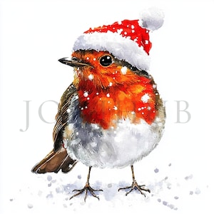 Divers oiseaux de Noël Clipart | 10 fichiers JPG de haute qualité | Téléchargement numérique | Créations en papier | Journal indésirable | Robin, clipart aquarelle imprimable