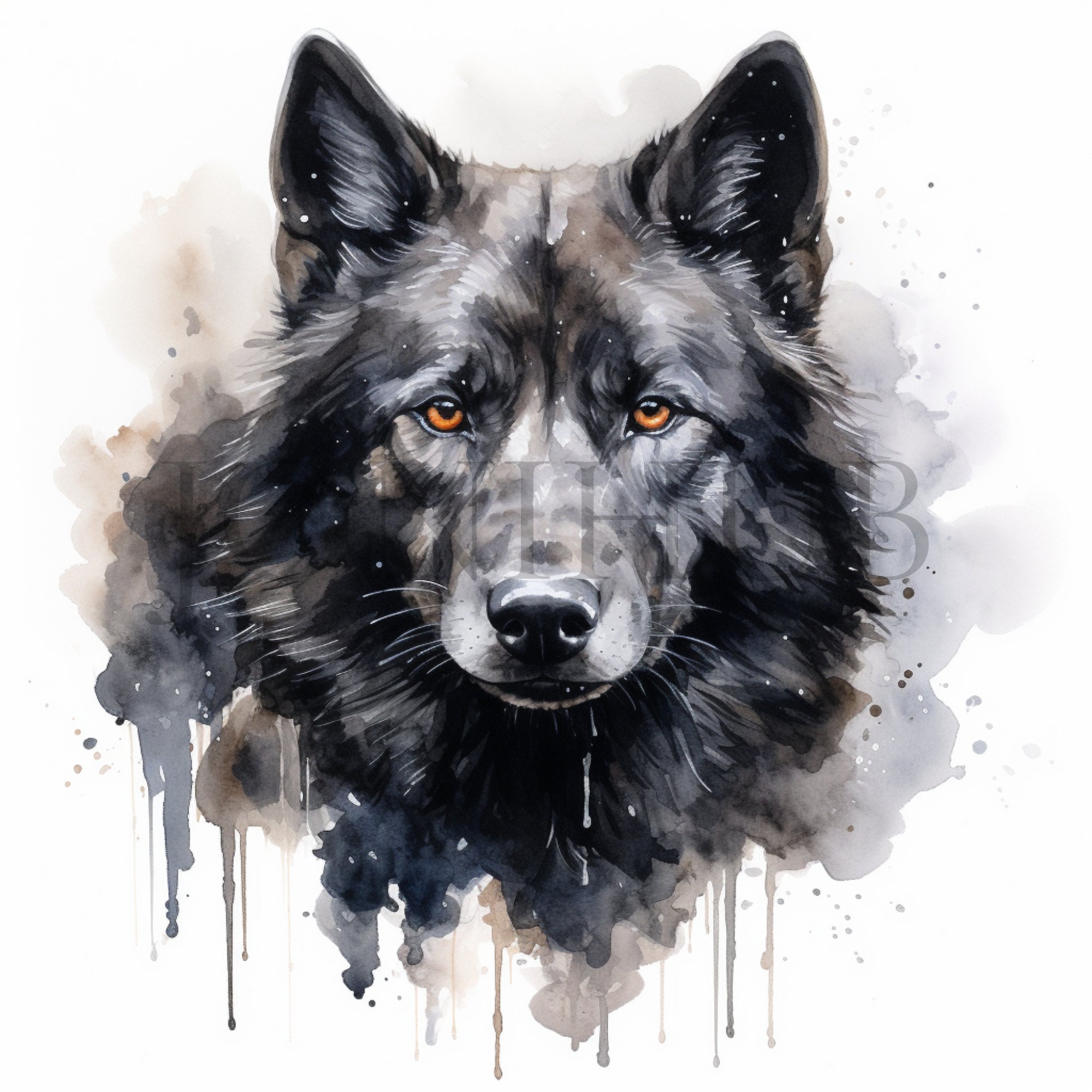 黒狼のクリップアート | 10 枚の高品質 JPG | デジタル ダウンロード