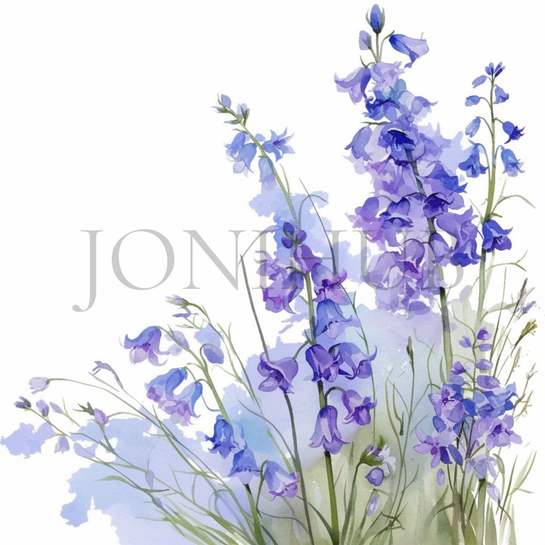 Bluebells Clipart Set 10 High Quality Jpg's Digital Download Botanical