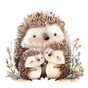 Ouriço Família Desenho Animado Clipart | 10 JPGs de Alta Qualidade | Download Digital | Boho Ouriço | Clipart de Aquarela | Artesanato em Papel | Diário | Arte