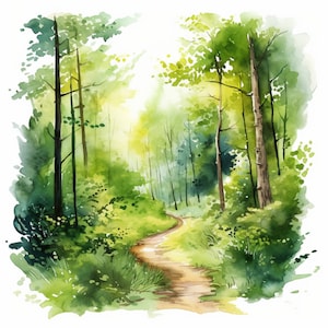 Summer Forest Clipart - 10 JPG di alta qualità / Riviste spazzatura / Natura / Download digitale / Uso commerciale / Acquerello / Pianificatori digitali