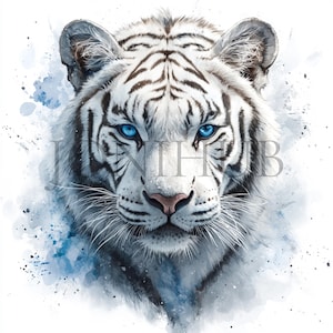 White Tiger Clipart | 10 High Quality JPG&#39;s | Digital Download | Exotic Animal Art | Forest Animal | Jungle Illustration | Printable Art