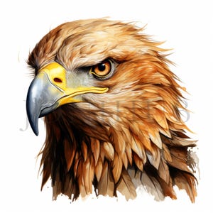 Clipart Aigle royal majestueux | 10 fichiers JPG de haute qualité | Téléchargement numérique | Clipart Aigle | Aquarelle | Fabrication de cartes | Journalisation | Clipart
