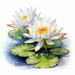 Clipart delicado de nenúfar | 10 JPGs de alta qualidade | Download digital | Clipart botânico | Ilustrações de flores de água | Ilustra??o de lagoa