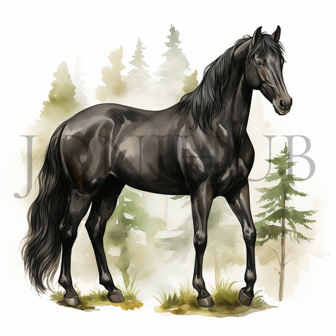 黒馬のクリップアート | 10 枚の高品質 JPG | デジタル ダウンロード