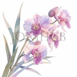 Orchid Clipart | 10 High Quality JPG's | Digital Download | Orchid Flower Graphics | Flower Clipart | Watercolor Art | Wedding flower