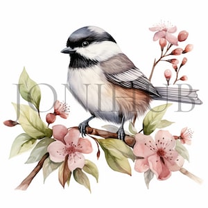 Clipart mésange | 10 fichiers JPG de haute qualité | Téléchargement numérique | Clipart oiseau hiver | Images de scrapbooking | Fabrication de cartes | Art d'oiseau mésange