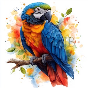 Parrot Clipart | 5 JPGs de alta qualidade | Download digital | Pássaro exótico | Selva | Ilustração de papagaio | Impressões digitais | Arte de pássaro tropical