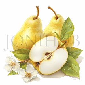 Birne Clipart | 10 hochwertige JPGs | Digitaler Download | Frisches Obst Kunst | Birne Illustrationen | Papiermodelle | Clipart-Pack | Druckbare Kunst