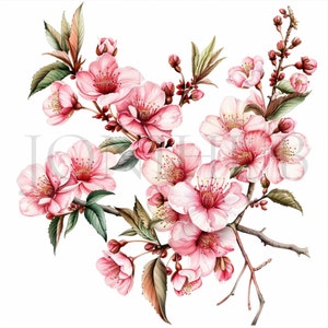 Blooming Sakura Branch Clipart | 10 High Quality JPGs | Digital download | Cherry Blossom Illustrations | Floral Art | Scrapbook, Printable