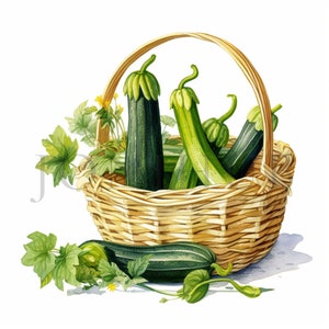 Zucchini Clipart | 10 High Quality JPGs | Digital Download | Scrapbooking | Zucchini Illustration | Courgette Clipart | Vegetable Clipart