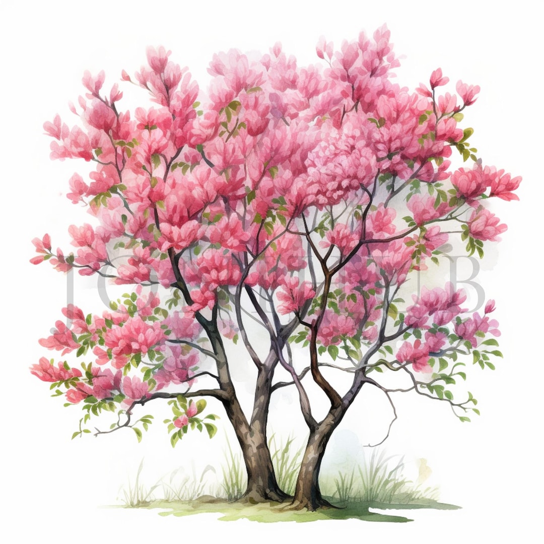 Blossom Apple Trees Clipart | 10 High Quality Jpgs | Digital Download ...