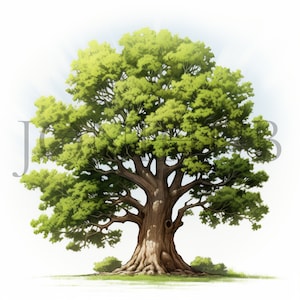 Oak Trees Clipart | 10 High Quality JPG's | Digital Download | Nature Art | Tree Graphics | Botanical Illustration | Printable Artwork