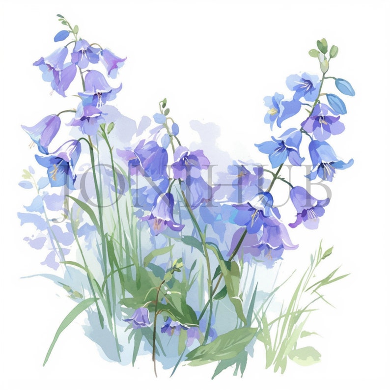 Bluebells Clipart Set 10 High Quality Jpg's Digital Download Botanical
