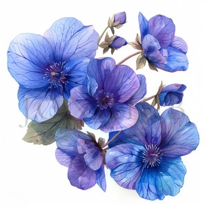 Veilchen Clipart | 10 hochwertige JPGs | Digitaler Download | Blumen Clipart | Violett, Blumen Clipart, Veilchen Digitale Clipart | Blume violett