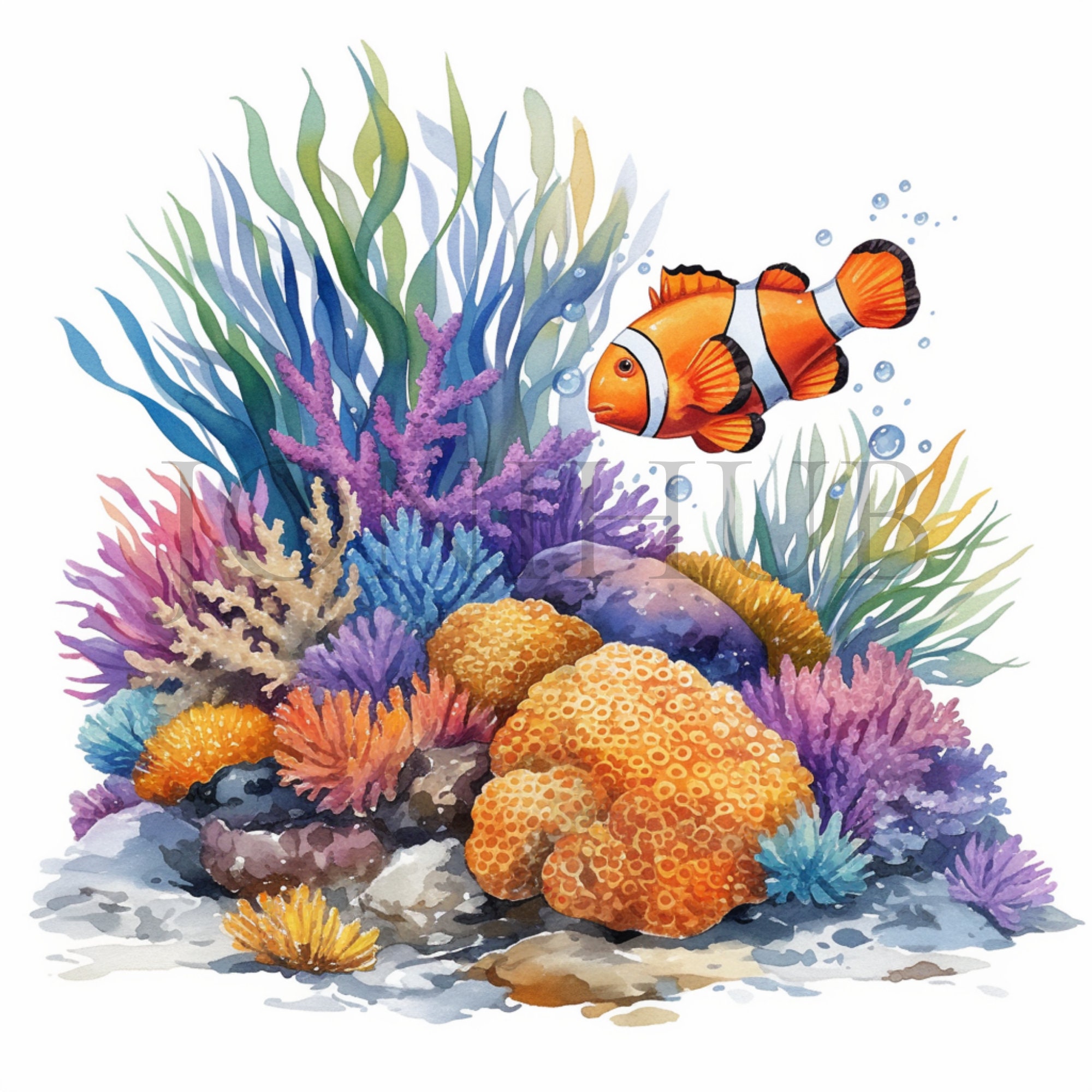 Vibrant Coral Reef Fish Clipart | 10 High Quality JPG's | Digital Download | Ocean Art | Fish Illustrations | Fish Art | Underwater Graphics