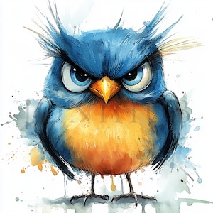 Grumpy Birds Clipart | 10 High Quality JPGs | Digital Download | Printable Watercolor Clipart | Digital Paper Craft | Cute Fluffy Birds