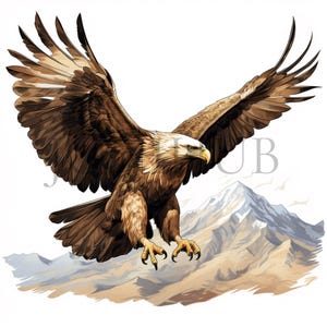 Clipart aquila reale / 10 JPG di alta qualità / Download digitale / Arte di uccelli ad acquerello / Grafica della fauna selvatica / Design stampabile / Pacchetto clipart