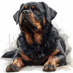 Watercolor Rottweiler Clipart | 10 High Quality JPGs | Digital download | Rottweiler Puppy | Rottweiler Dog | Dog Clipart | Rottweiler Image