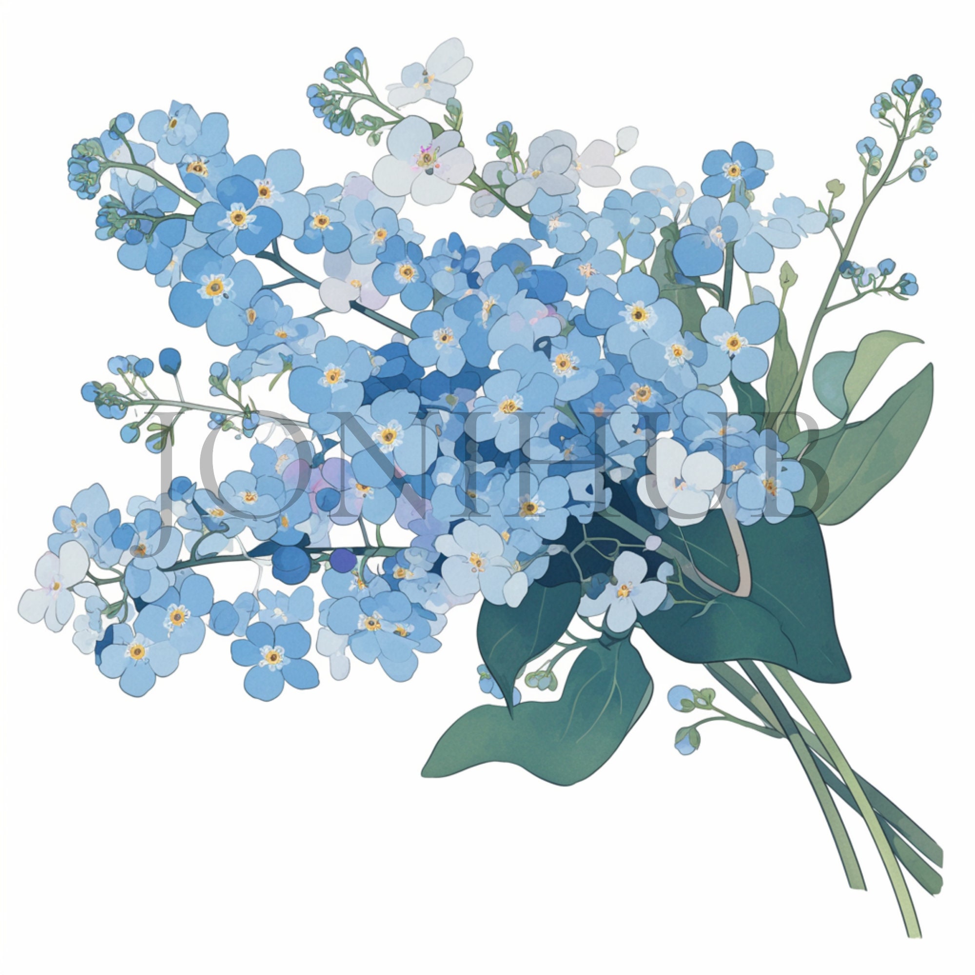 忘れな草のクリップアート | 10 枚の高品質 JPG | デジタル