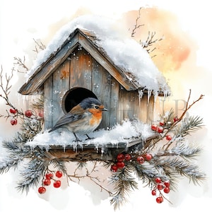Clipart cabane d'hiver | 8 fichiers JPG de haute qualité | Téléchargement numérique instantané | Fabrication de cartes | Clipart oiseau | Créations numériques en papier | Scrapbooking
