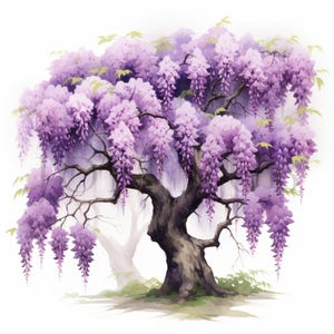 Wisteria Trees Clipart | 10 High Quality JPGs | Digital Download | Card Making | Journaling | Digital Paper Craft | Clip Art | Botanical Art
