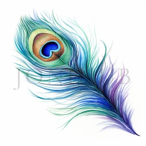 Peacock Feather Clipart | 10 High Quality JPGs | Digital Download | Paper Craft | Junk Journal | Art | Gorgeous Peacock | Watercolor Clipart