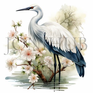 Kranich Clipart | 10 hochwertige JPGs | Digitaler Download | Kranich Vogel Kunst | Elegante Illustrationen | Papiermodelle | Gärtnerische Kunst
