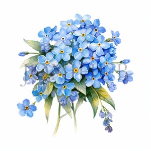 Ne m'oublie pas des cliparts | 10 fichiers JPG de haute qualité | Téléchargement numérique | Illustration florale | Aquarelle | Clipart fleur | Oeuvre d'art imprimable