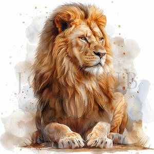 Clipart Lion | 10 fichiers JPG de haute qualité | Téléchargement numérique | Art pour chambre d'enfant | Fabrication de cartes | Art mural | Clipart | Créations numériques en papier | Animal mignon