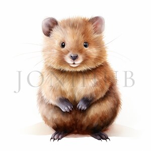 Clipart di Quokka bambino / 10 JPG di alta qualità / Download digitale istantaneo / Arte per bambini / Creazione di biglietti / Clipart di animali carini, artigianato di carta digitale