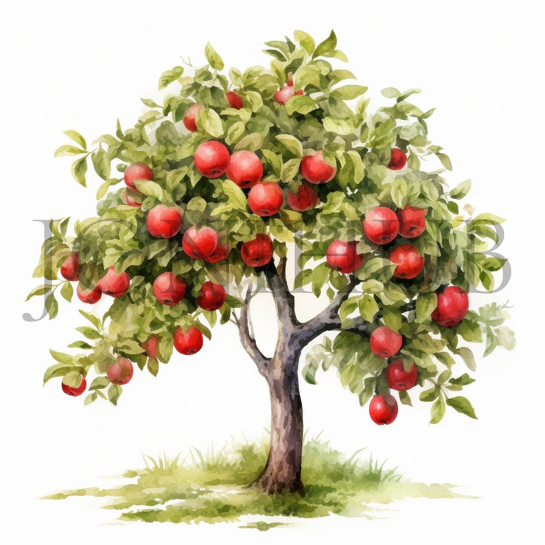 Watercolor Apple Trees Clipart | 10 High Quality Jpg's | Digital ...