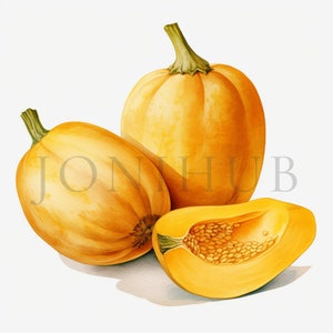 Courge musquée des cliparts | 10 fichiers JPG de haute qualité | Téléchargement numérique | Courge musquée | Clipart végétarien | Clipart de légumes | Clipart Légume